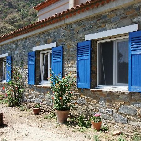 Lou Pastourel Villa Le Lavandou Exterior foto