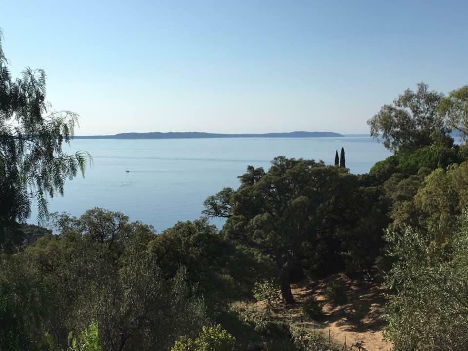 Lou Pastourel Villa Le Lavandou Exterior foto